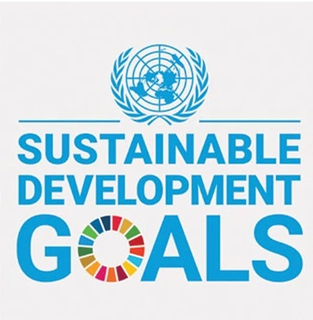 WhatsApp Image 2025 07 01 at 10.59.37 4 1